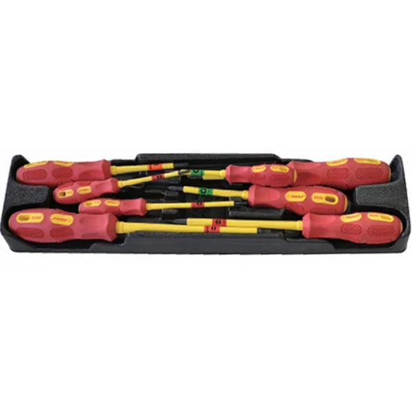 Insulated Screwdriver Set – TB-9 | VDE Certified Phillips & Slot Tips in Plastic Tray