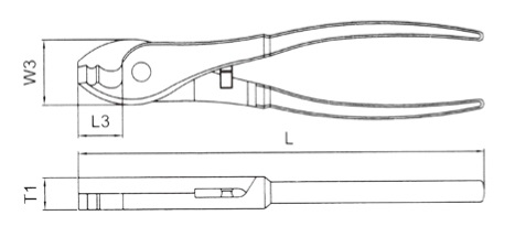 1899V
